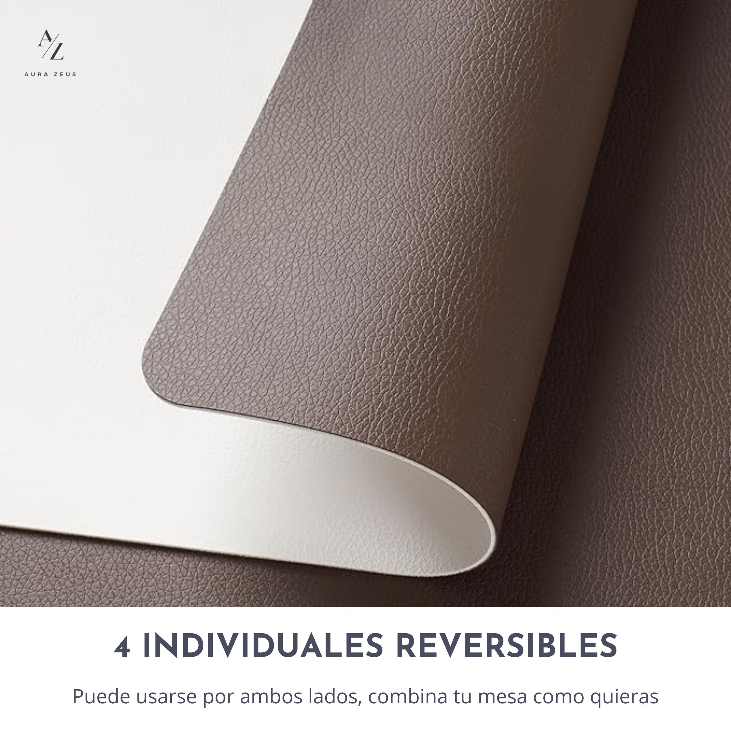 Set 4 Individuales Reversibles Liso