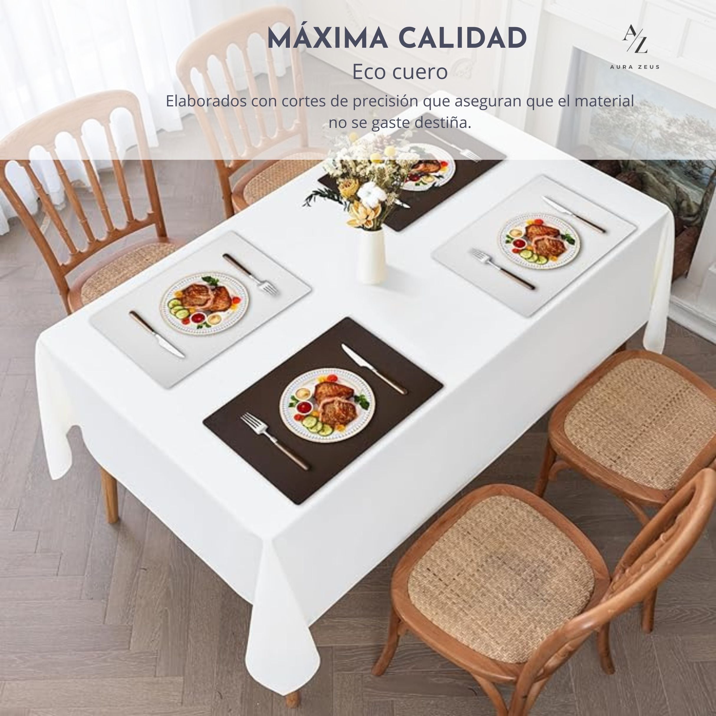 Set 4 Individuales Reversibles Liso