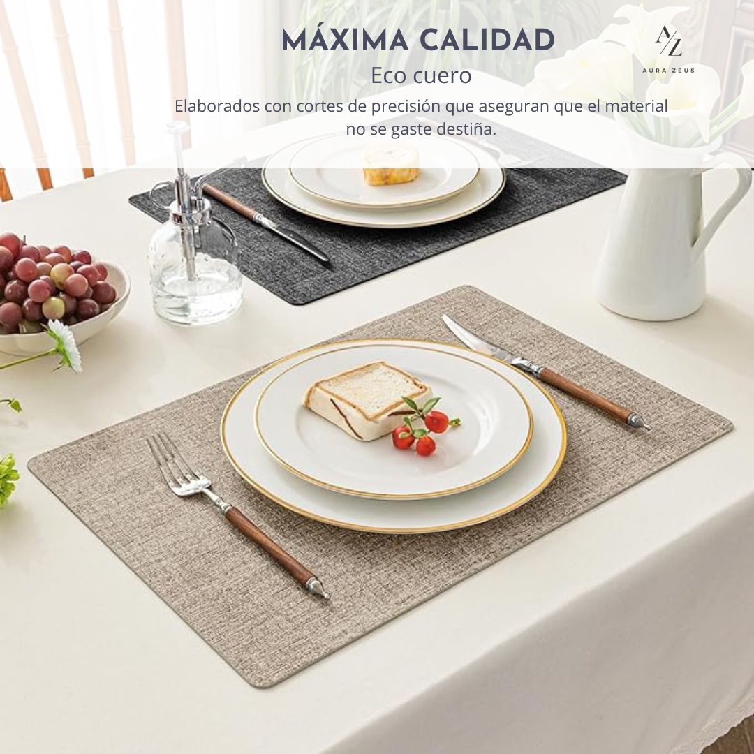 Set 4 Individuales Rectangulares Reversibles Ecocuero